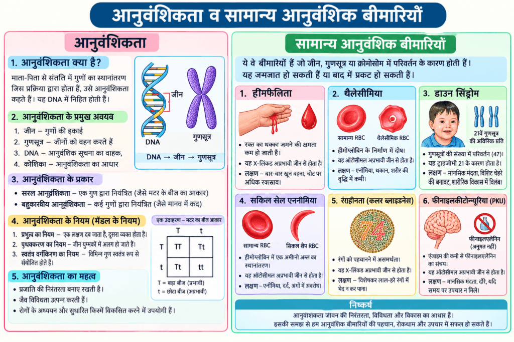आनुवंशिकता व सामान्य आनुवंशिक बीमारियाँ
