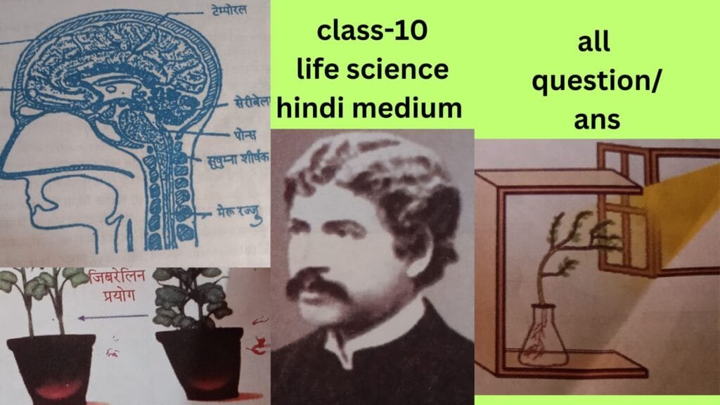 सजीवों में नियंत्रण व समन्वय chapter-1 part-1