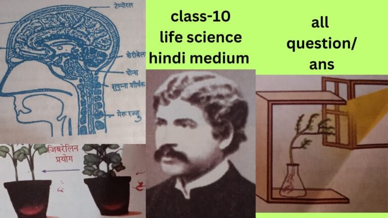 सजीवों में नियंत्रण व समन्वय chapter-1 part-1