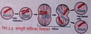 samsutr kosika vibhajan
