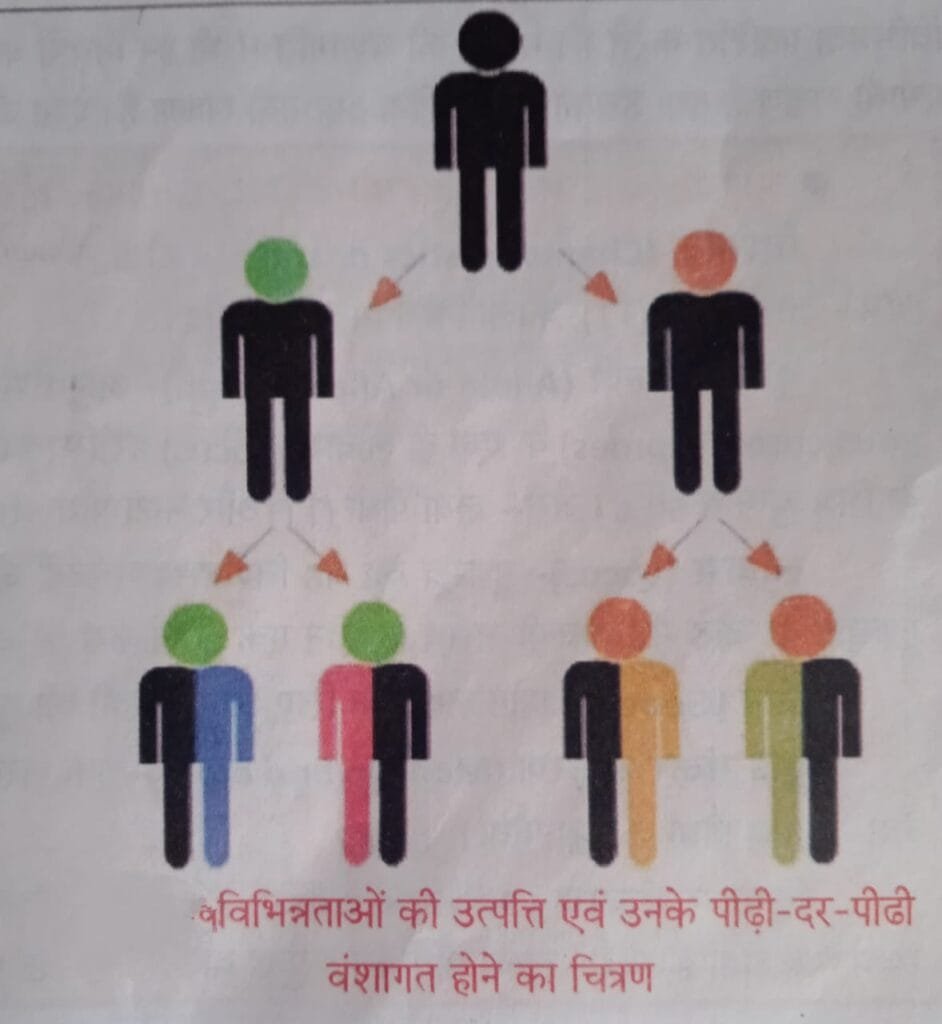 आनुवंशिकता व सामान्य आनुवंशिक बीमारियाँ