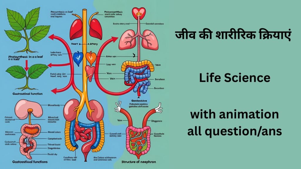जीव की शारीरिक क्रियाएं