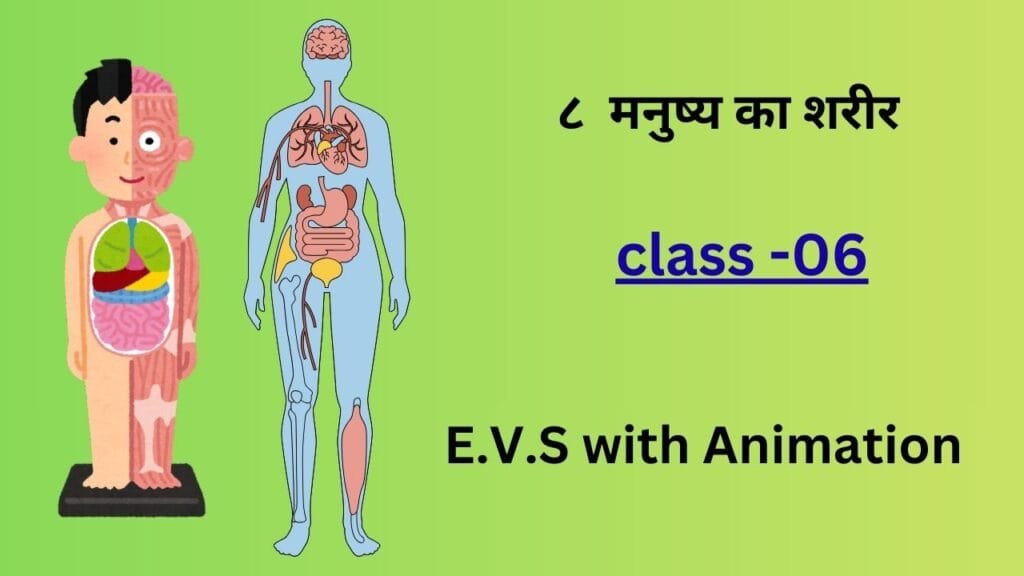 मनुष्य का शरीर