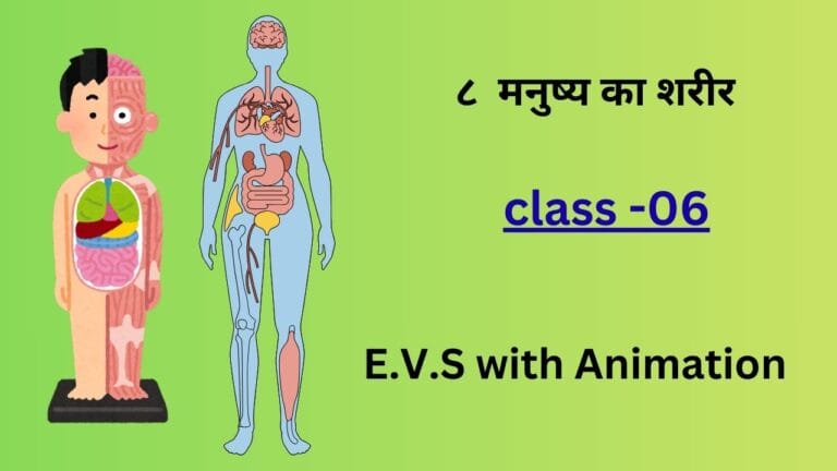 मनुष्य का शरीर