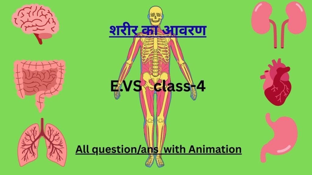 शरीर का आवरण