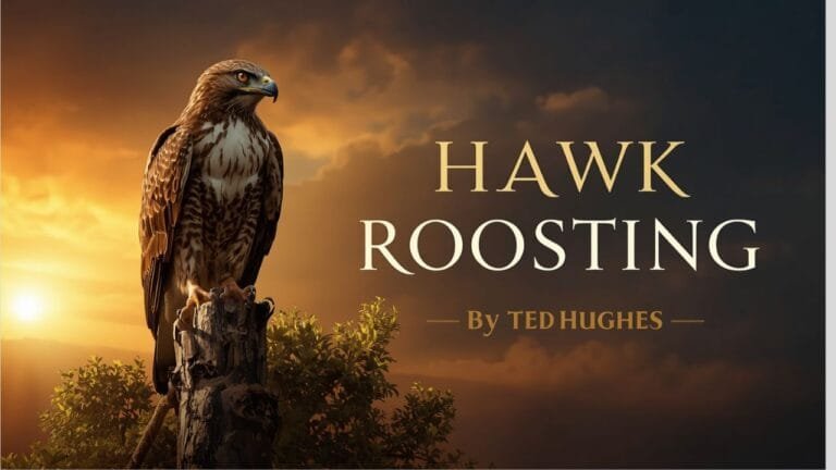 Hawk Roosting – Ted Hughes